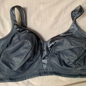Playtex Shiny Gray Bra